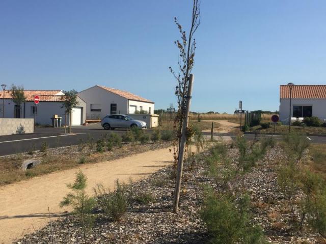 espace vert au fief des plantes