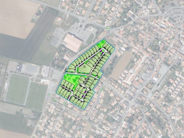 photo insertion les aubrietes