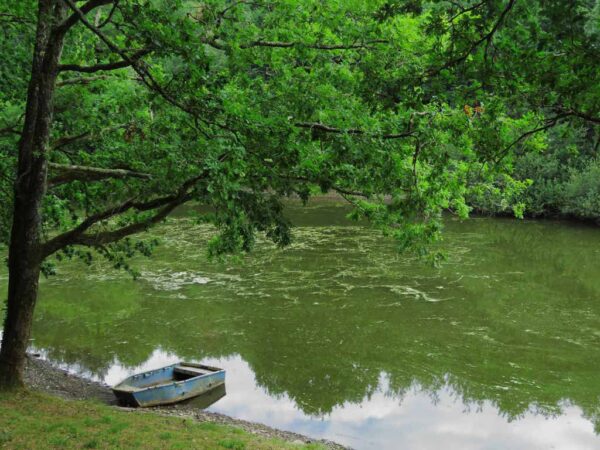 poiroux lac finfarinex768